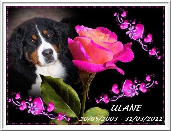 Ulane (Sans Affixe)
