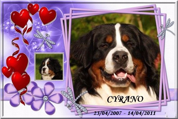 Cyrano de La Balade du Briantais