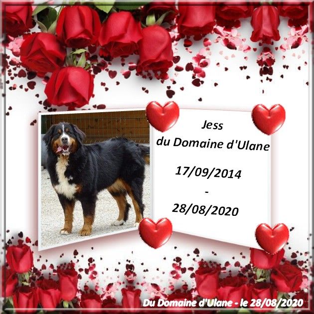 Jess du Domaine d'Ulane