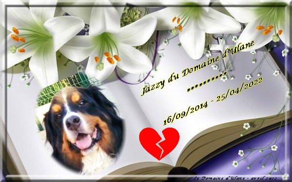 Jazzy du Domaine d'Ulane